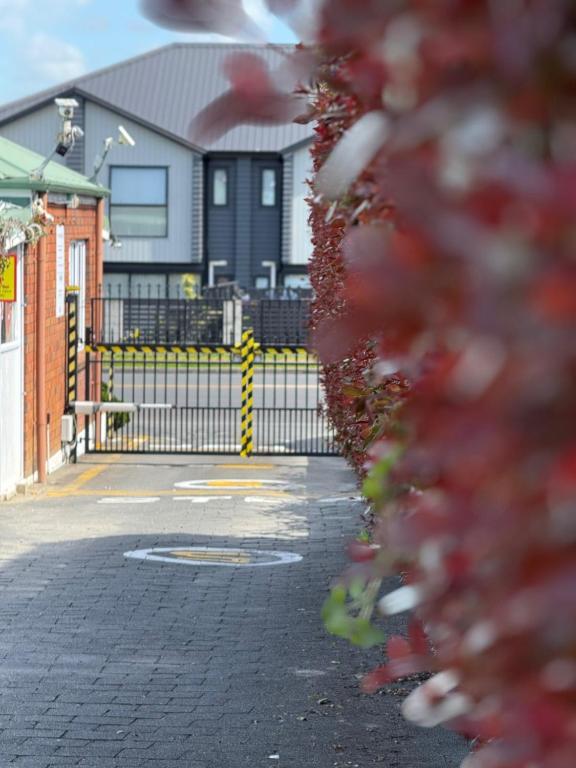 Motel Homestead - Resim 27