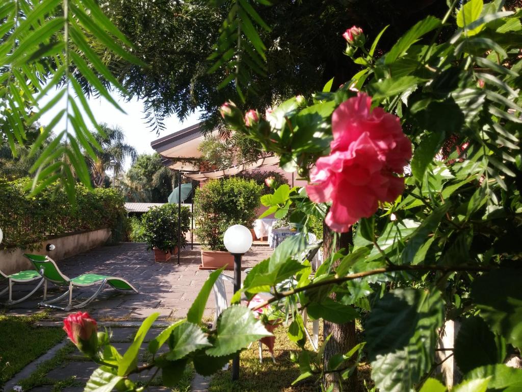 フォンダケッロにあるAcquachiaraの手前の赤い花の庭園