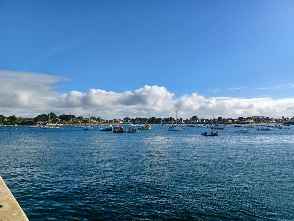 un grupo de barcos en un gran cuerpo de agua en Mobilhome 3 chambre à 2 pas de la plage, en Sarzeau