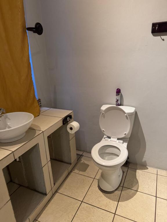 a bathroom with a white toilet and a sink at Eagles Enest BnB in Pietermaritzburg