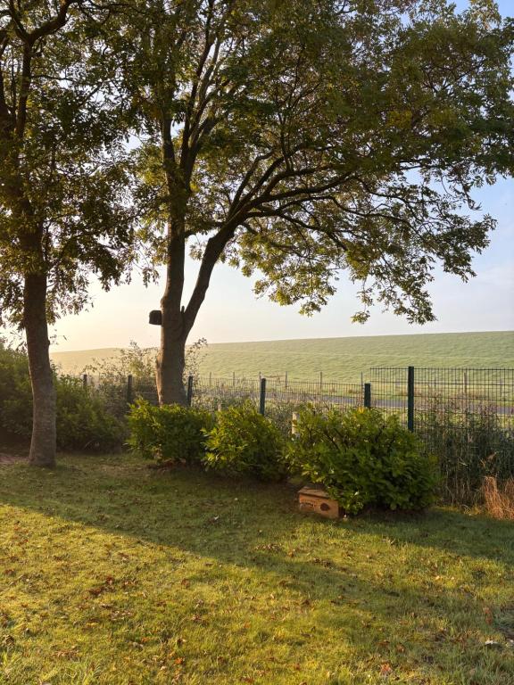 ノルデンにあるLüttje Koje - Ferienhaus direkt am Deich und dem Meer dahinterの背景の畑と木と柵