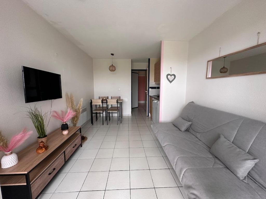 TV a/nebo společenská místnost v ubytování Apparemment cosy et au calme vue sur le golf