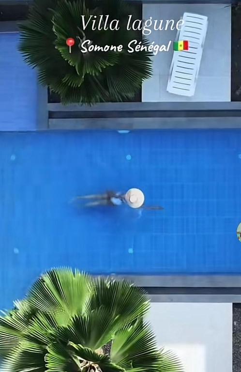 a clock and a plant in front of a window at Luxurious 4 bedroom Villa next to the lagoon in Somone