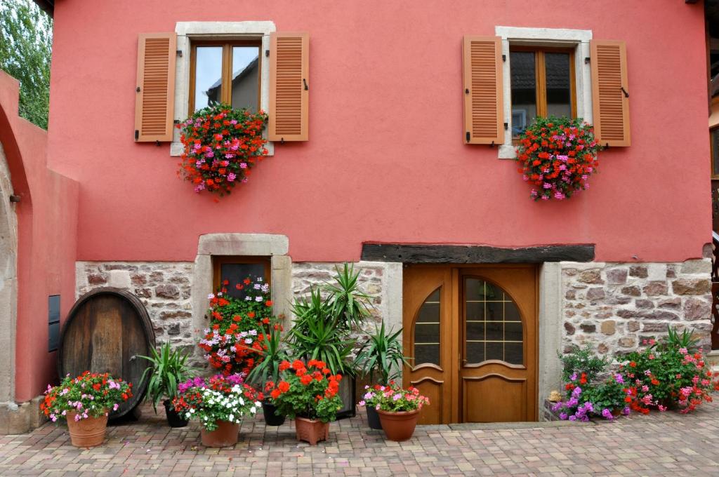 VoegtlinshoffenにあるAux Grains Noblesの花の前のピンクの家