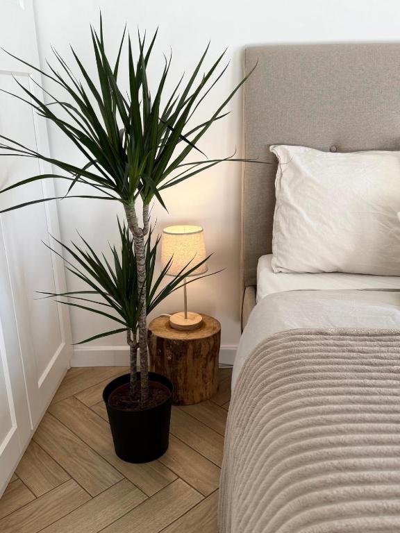 Ένα ή περισσότερα κρεβάτια σε δωμάτιο στο Przytulne Studio Blisko Morza