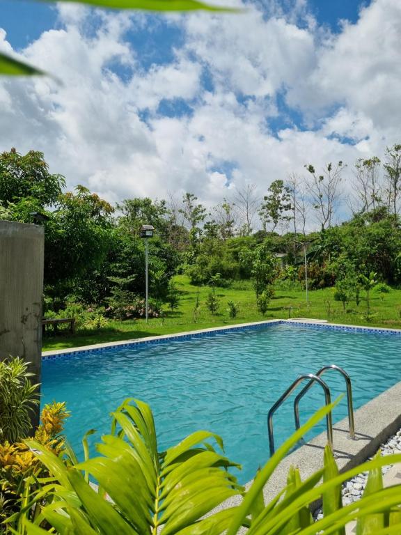 una piscina blu con alberi sullo sfondo di Miracle's Farm at Tarlac 