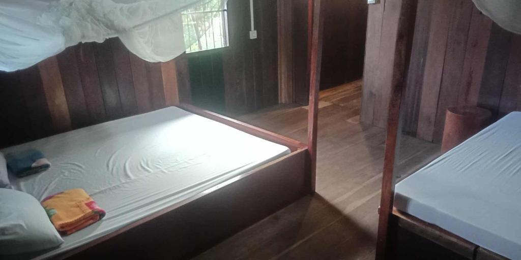 BanlungにあるAvocados homestayのギャラリーの写真