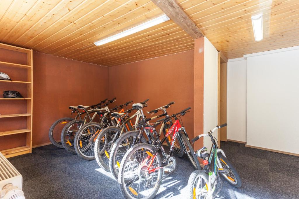 Jízda na kole v ubytování Haus Gafrina nebo okolí