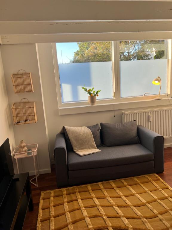 Sofá azul en la sala de estar con 2 ventanas en Convenient apartment - close to everything, en Odense