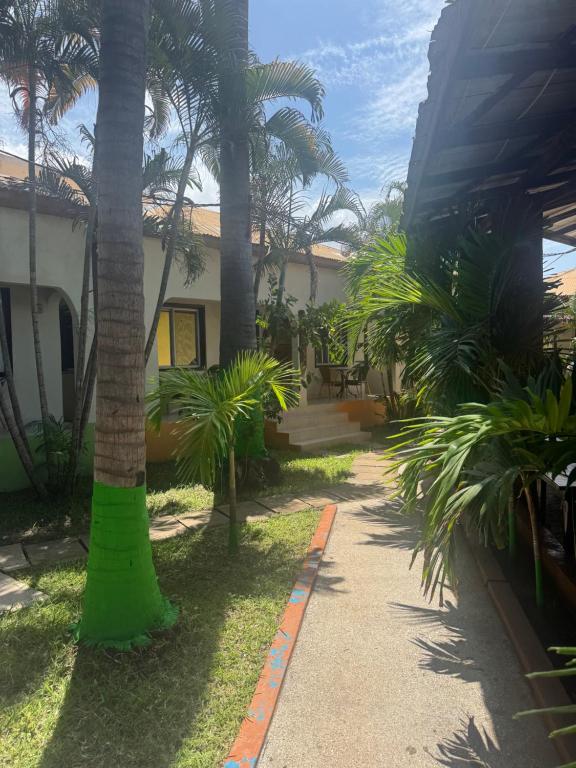 Patta Patta Guest House 4