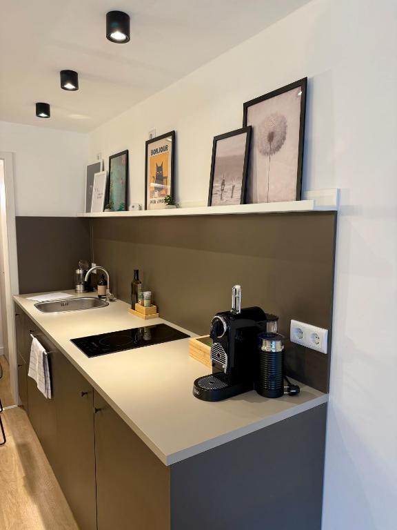 a kitchen with a counter with a coffee maker on it at Zentrales Studio-Appartment mit Terrasse in Hildesheim