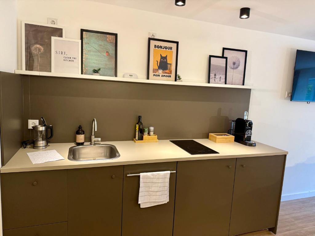 Kuchyň nebo kuchyňský kout v ubytování Zentrales Studio-Appartment mit Terrasse