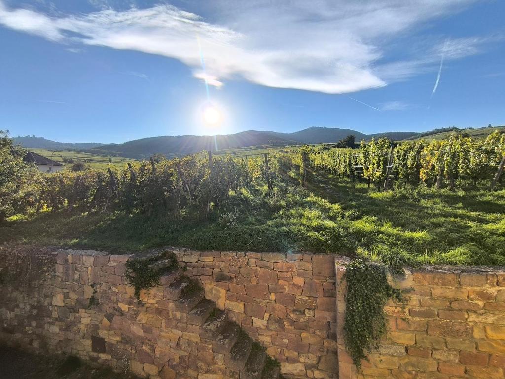 WettolsheimにあるGîte Au Pied Des Vignesの空に太陽が輝く野原にあるレンガの壁