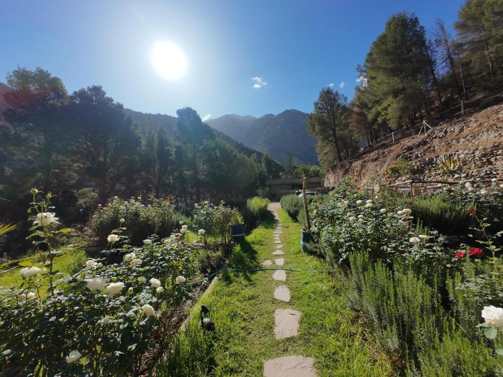 a path through a garden with flowers on a hill at Ourika Atlas Tigmi in Ourika