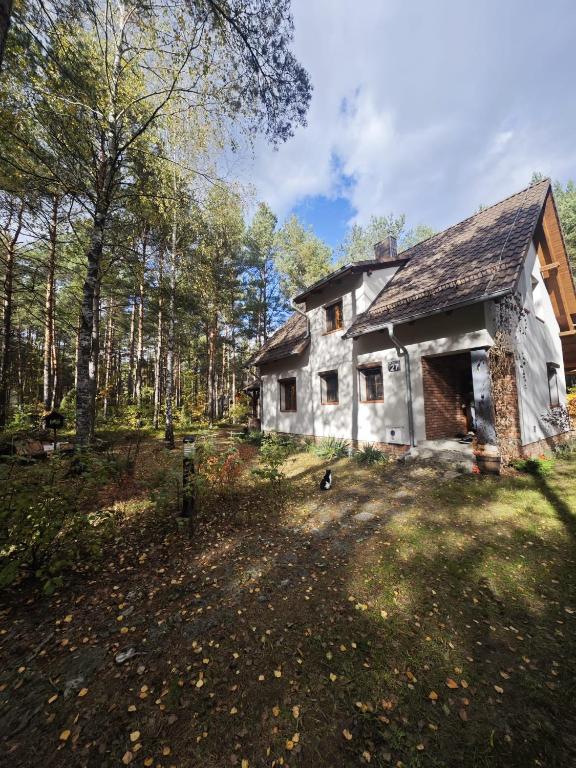 an old house in the middle of a forest at Leśny Relaks in Krasiejów