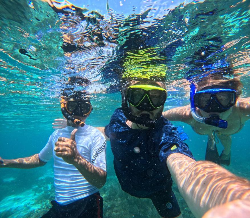 un groupe de personnes dans l'eau avec des lunettes de natation dans l'établissement Bajo Komodo Homestay, à Komodo