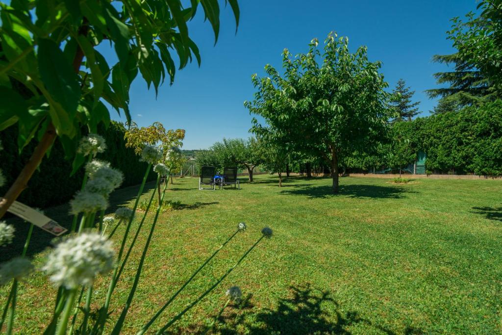 Zahrada ubytování Nemes Apartmanház