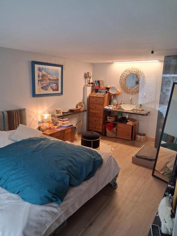 ein Schlafzimmer mit einem Bett und einem Waschbecken darin in der Unterkunft Escale fleurie in Toulouse