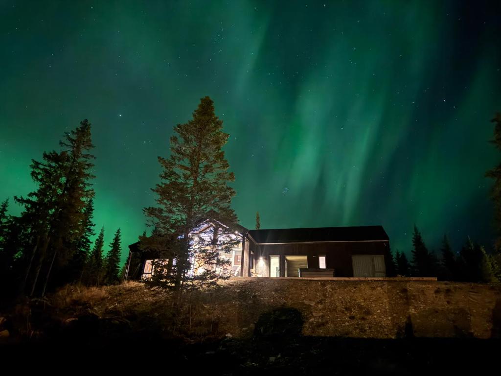 a house under the northern lights at night at New chalet with great view in Dal