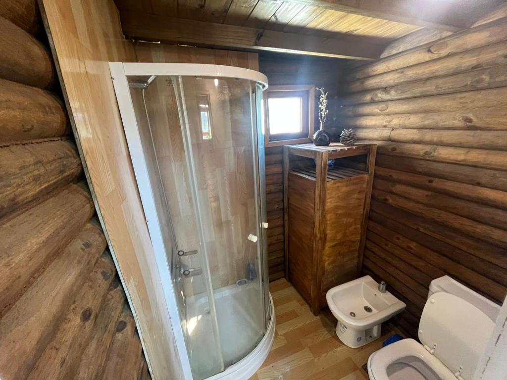 a wooden bathroom with a shower and a toilet at Cabañas Don Camilo in Tandil