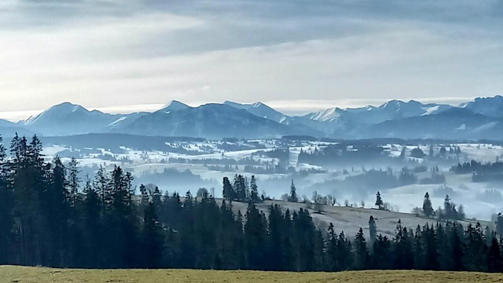 a view of a valley with trees and mountains at Bachledowy Wierch in Czerwienne