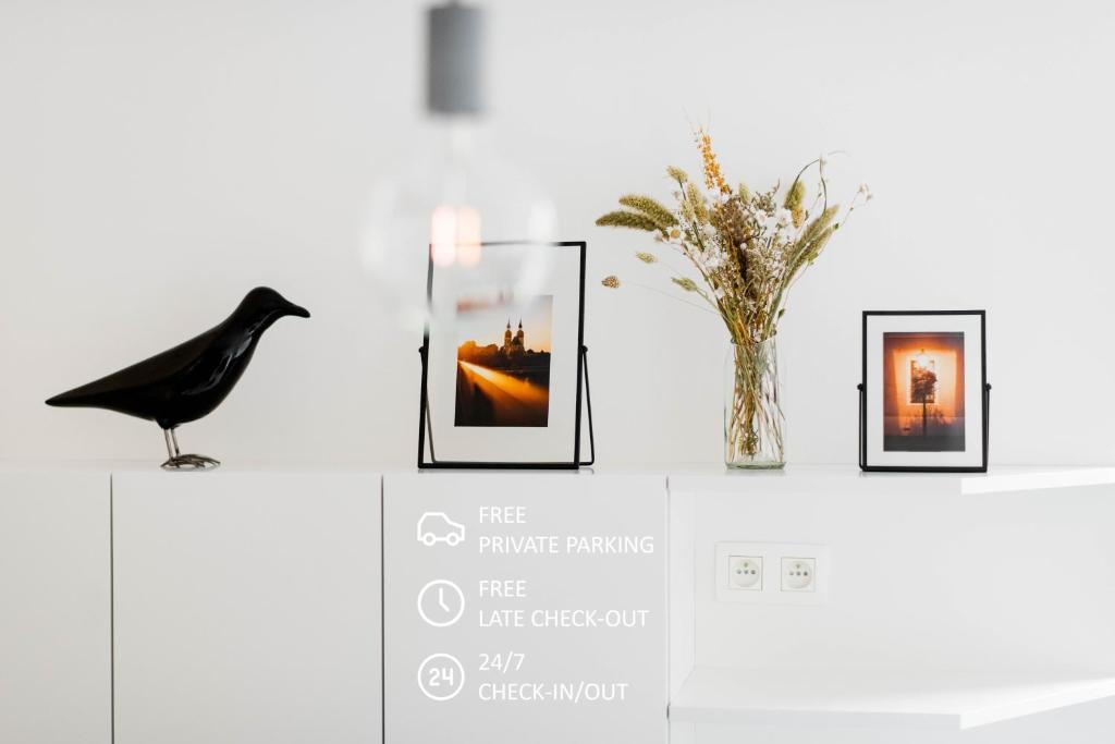 a black bird standing on a shelf with pictures at White Innk city center apartment in Trnava