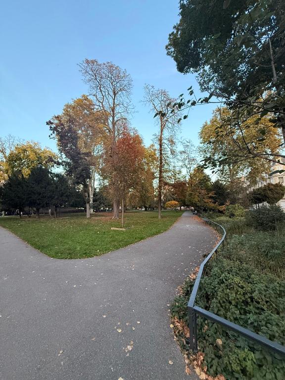 Studio dans le cœur de Mulhouse – photo 12