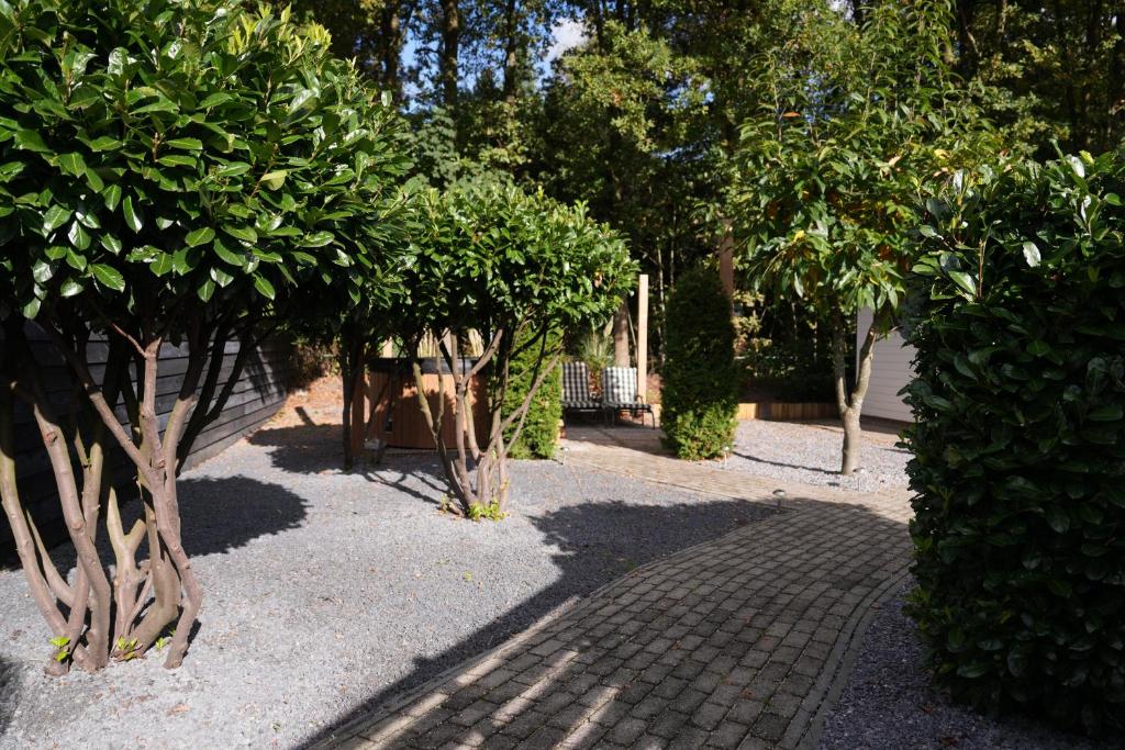 een rij bomen in een park met een stoep van bakstenen bij Chalet met hottub in Putten