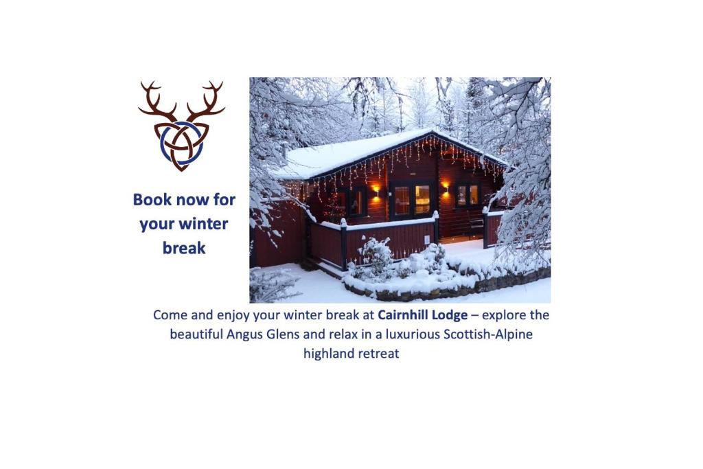 ブレアゴーリーにあるCairnhill Lodge - Award-Winning Luxury Highland Retreatの雪小屋の写真