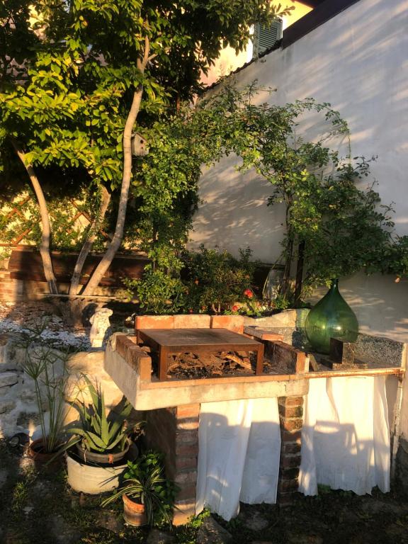 a garden with a bench and a table and some plants at Ca' Parodi Bel View in Parodi Ligure