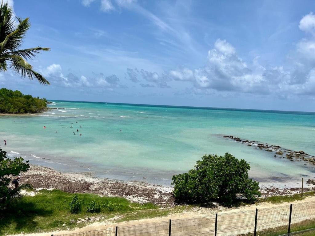 Una vista de una playa con gente en el agua. en Studio avec terrasse - Accès plage et piscine, en Îlet à Boissard