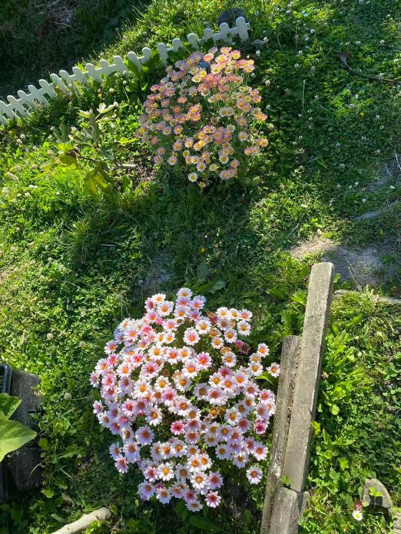 Relaxing rooms with mountain views, close to ferry - Resim 18