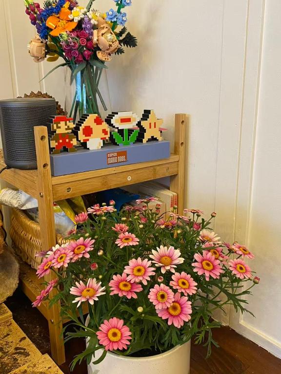 Relaxing rooms with mountain views, close to ferry - Resim 15