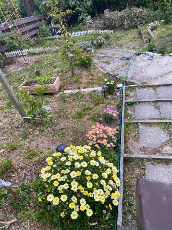 Relaxing rooms with mountain views, close to ferry - Resim 24