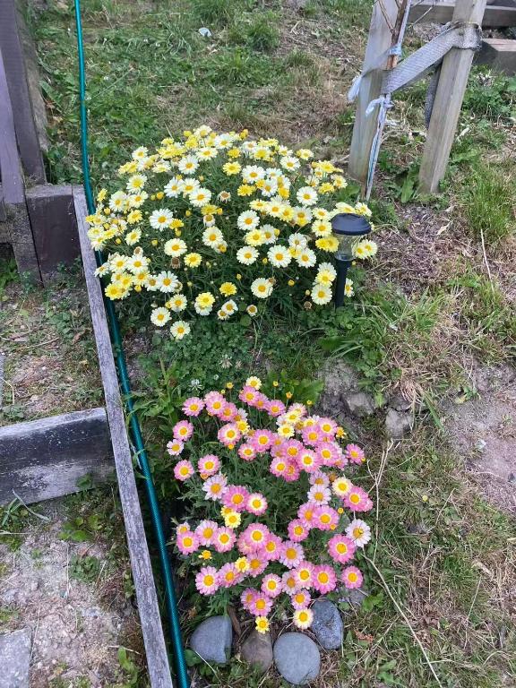 Relaxing rooms with mountain views, close to ferry - Resim 21