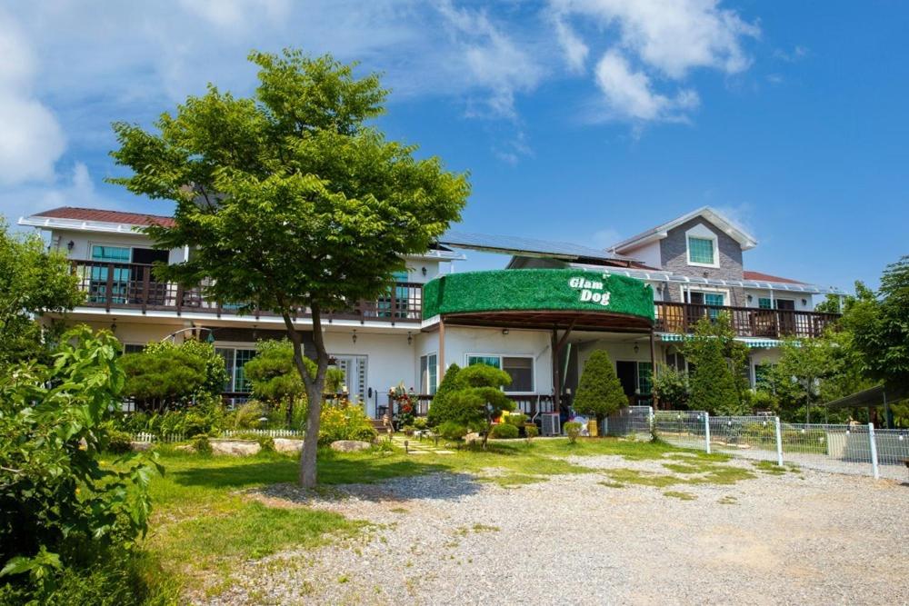 a building with a tree in front of it at Glamdog Dog Pension Gapyeong Branch in Gapyeong