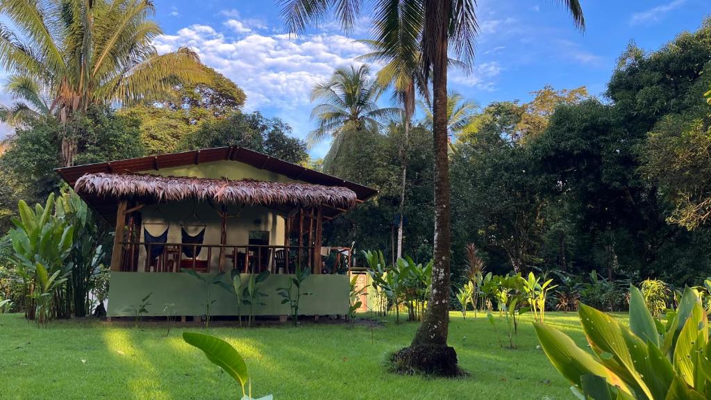 a small house in a field with palm trees at Playa Ganadito Ecolodge in Drake