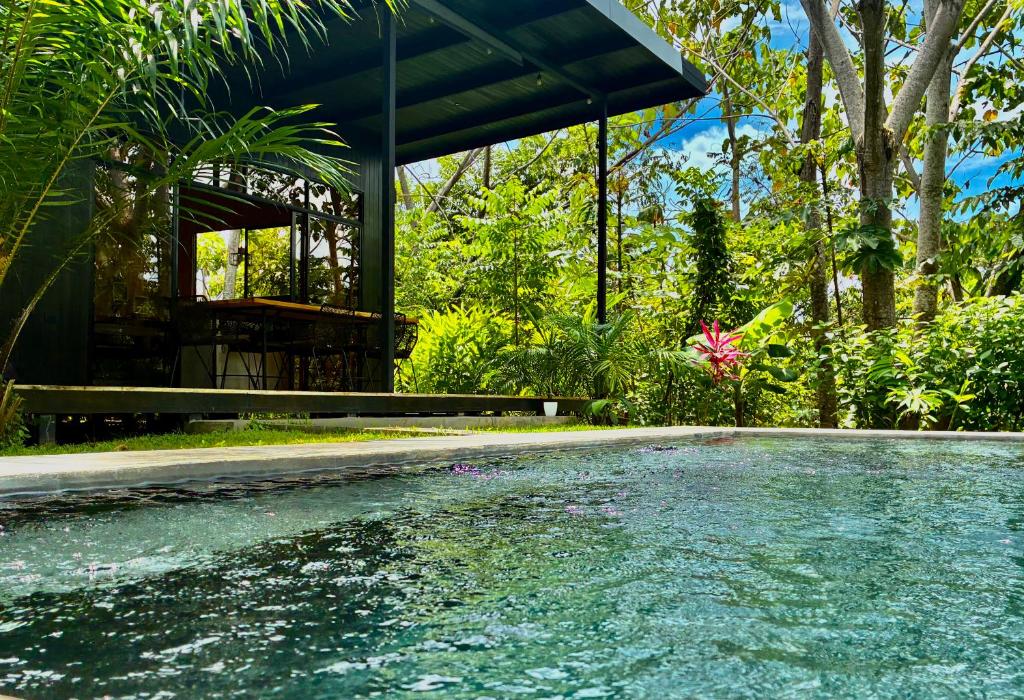 a swimming pool in front of a house at Cabaña Grande océan and jungle Infinity swim pool in Santa Teresa Beach