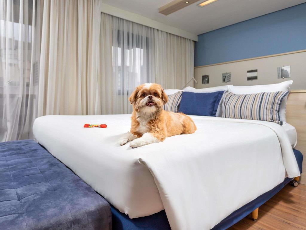 a dog sitting on top of a bed at Mercure Sao Paulo Pamplona in Sao Paulo