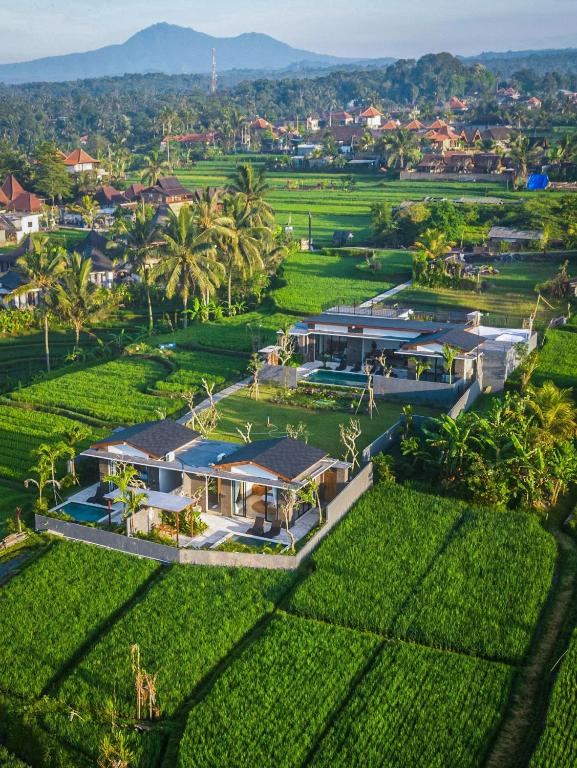 an aerial view of a house in a field at KAPI Sebatu Villa in Tampaksiring