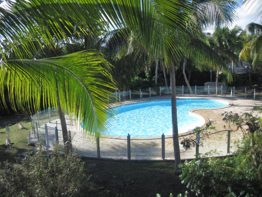 a large swimming pool with palm trees around it at Villa Redfish in Orient Bay