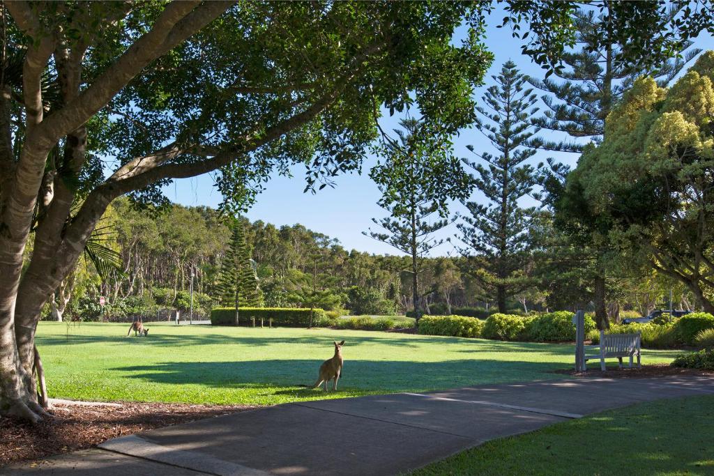 Novotel Sunshine Coast Resort - 带泻湖的皇后室