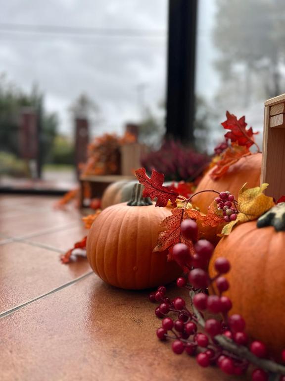 Akme APARTMENTS & ROOMS & FREE PARKING - Resim 7