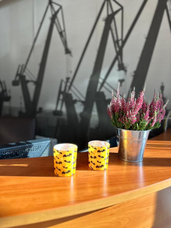 Akme APARTMENTS & ROOMS & FREE PARKING - Resim 6