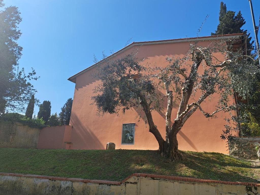 a building with a tree in front of it at La Casa Del Podestà 65 in Florence