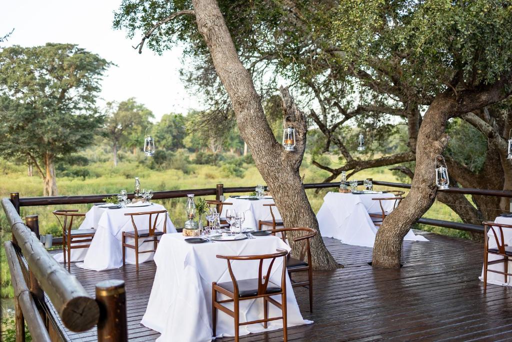 Κήπος έξω από το Karongwe - Becks Safari Lodge