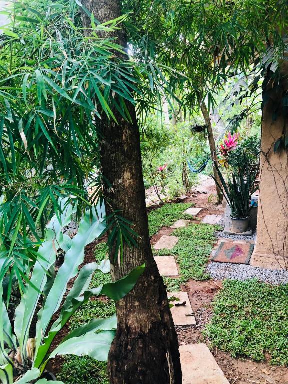 a tree in the middle of a garden at Linu Homestay in Hiriketiya