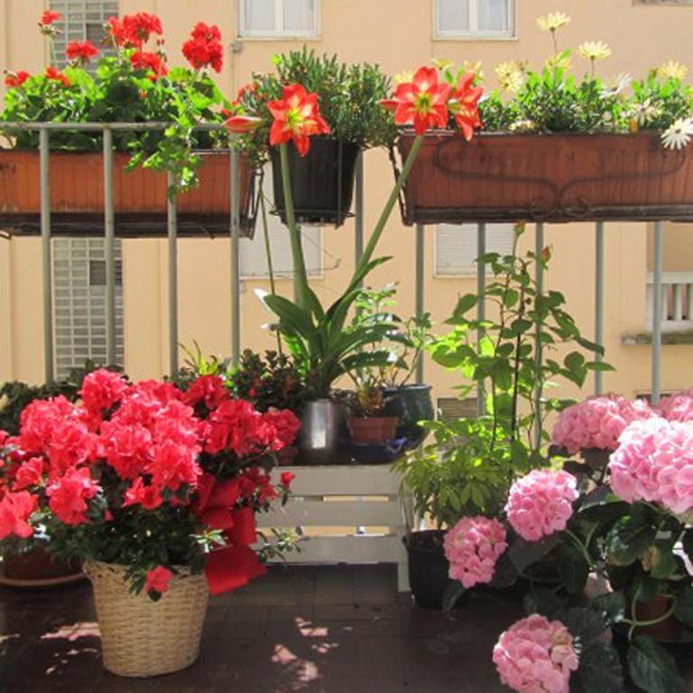 Art Design Duomo Suites - 1