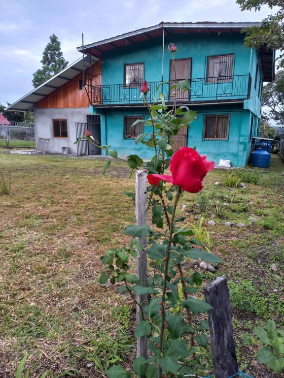 Un jardín fuera de Awesome Volcán Barú Views