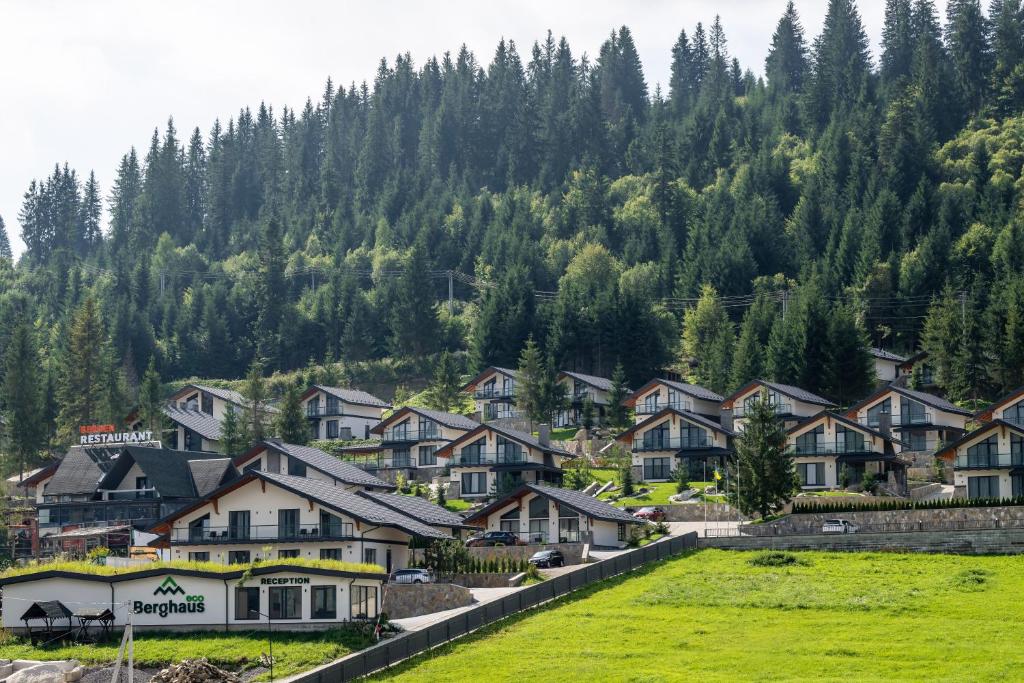 un pueblo en las montañas con casas y árboles en EcoBerghaus - Котеджне містечко, en Bukovel